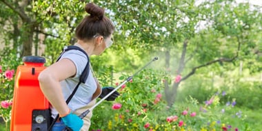 plant-sprayer